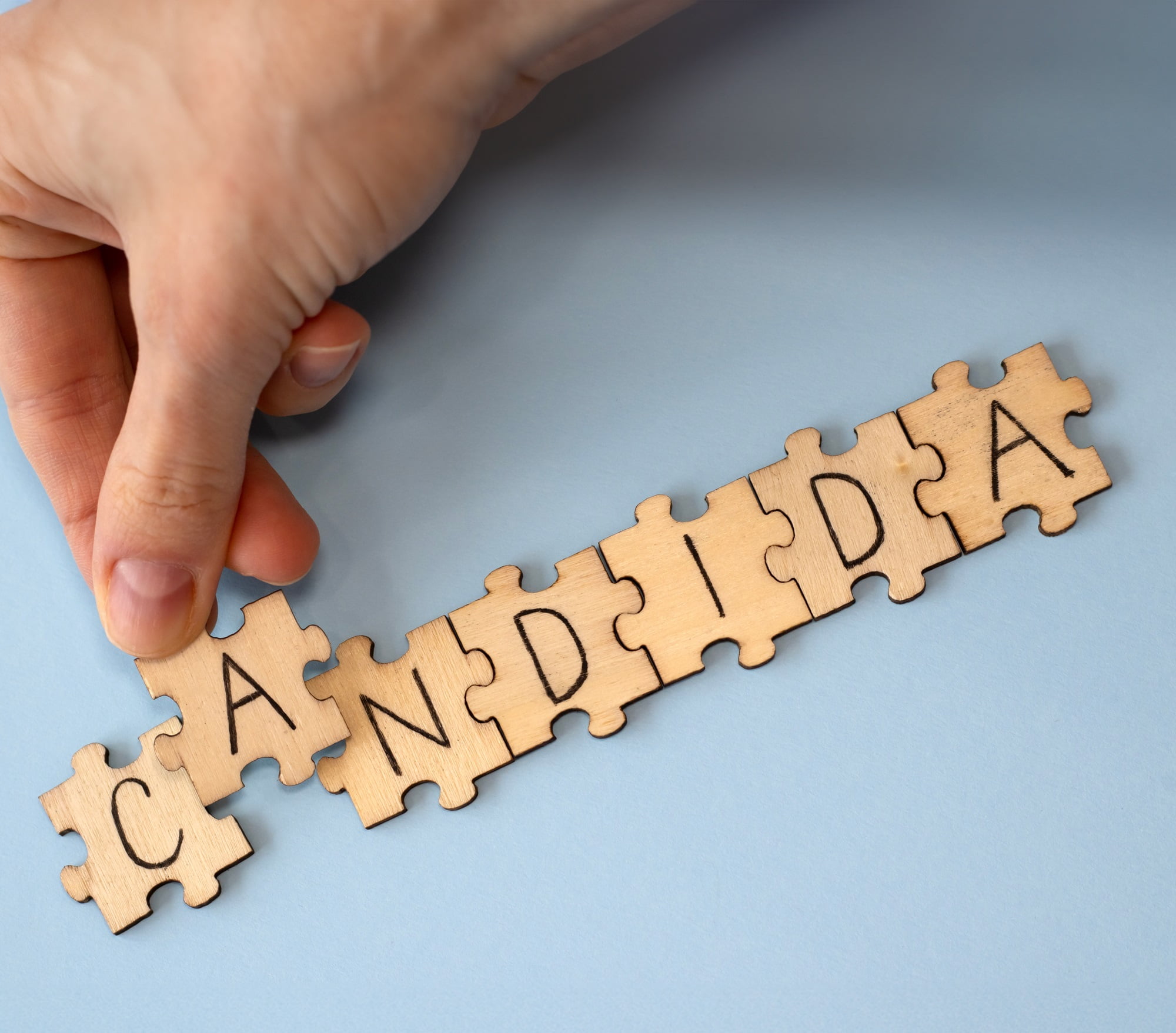 candida l